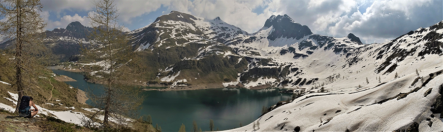 Laghi Gemelli, fiori, stambecchi e ancora neve (4giu21)